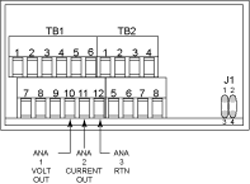 Analog Output Connections